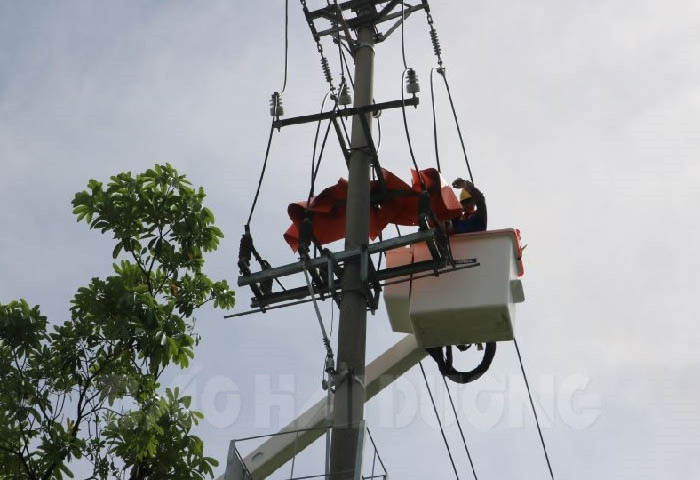 Điện lực Hải Dương sửa chữa đường dây đang mang điện vượt kế hoạch